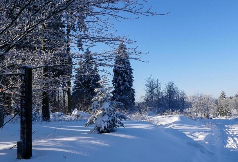 Pension Haus Am Walde