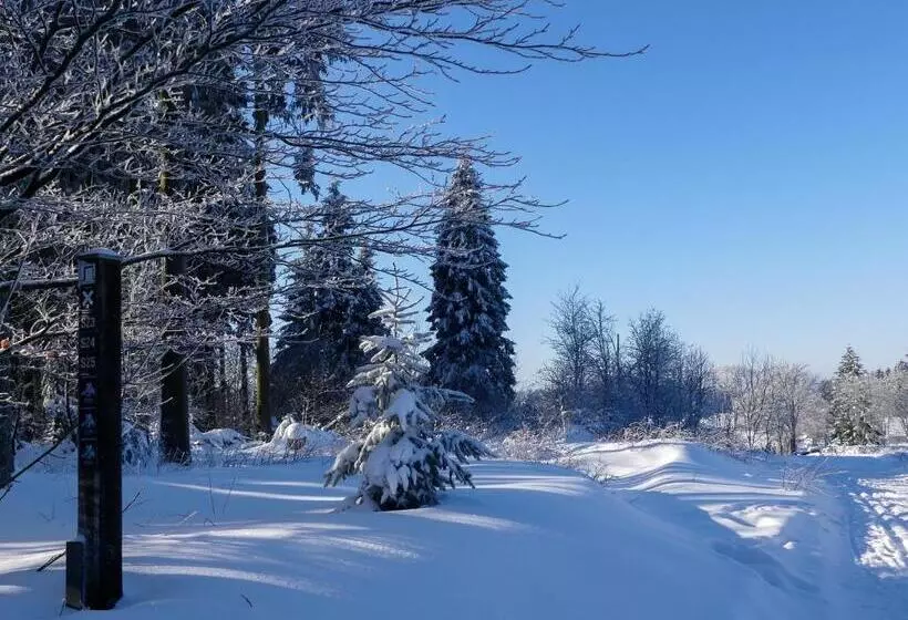 Pension Haus Am Walde