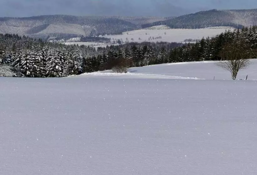 Pension Haus Am Walde