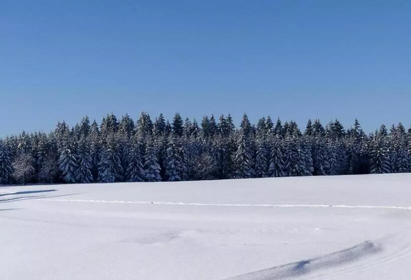 Pension Haus Am Walde