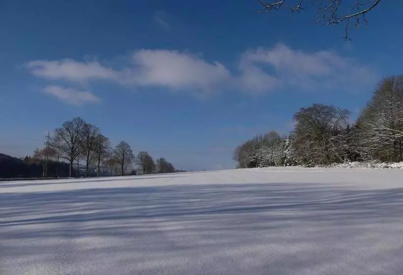 Pension Haus Am Walde