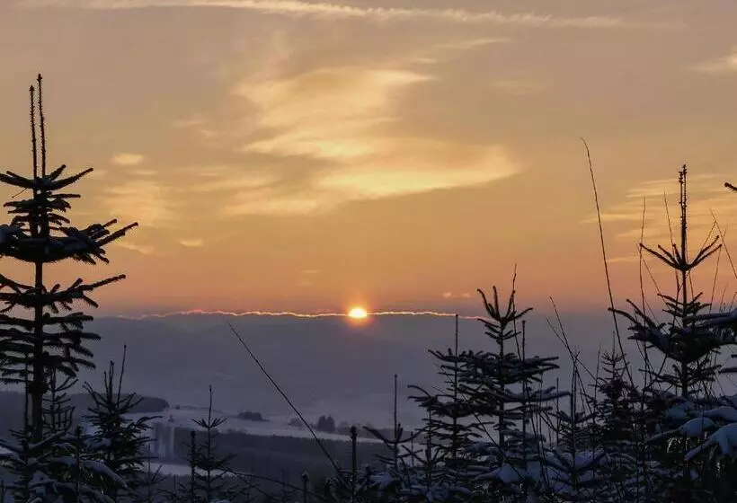 Pension Haus Am Walde