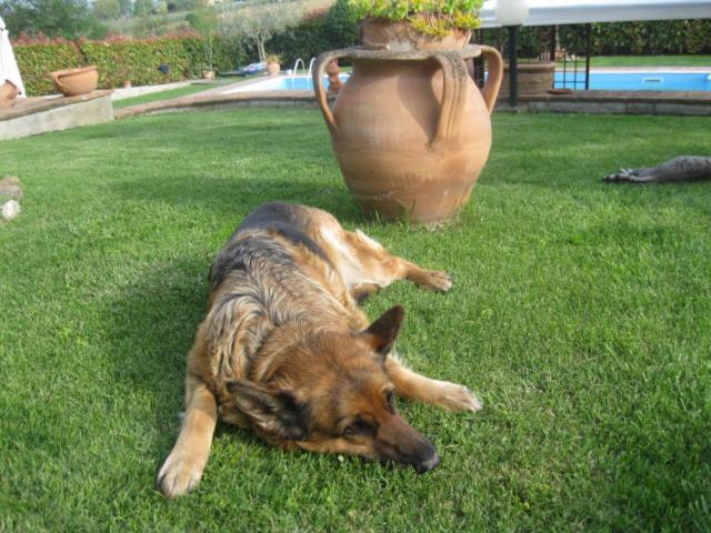 בית מלון כפרי Agriturismo Consalvi Valentina