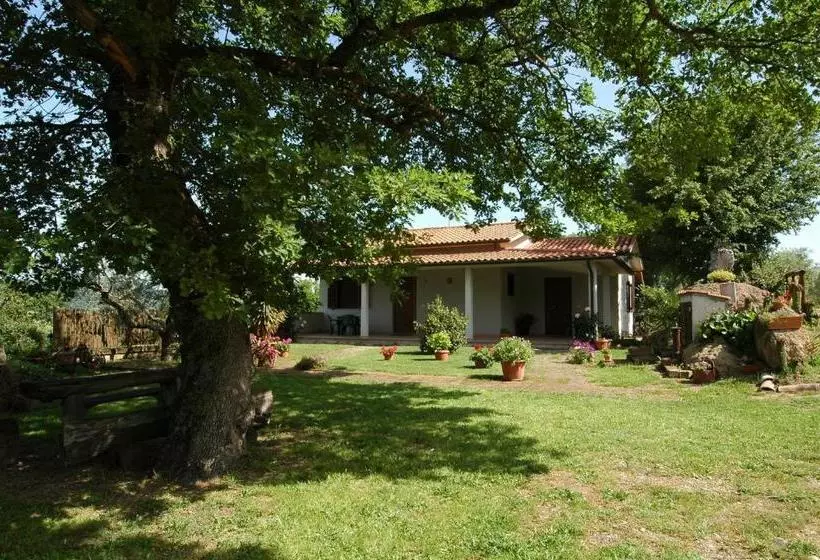 ホテル Agriturismo San Vincenzo