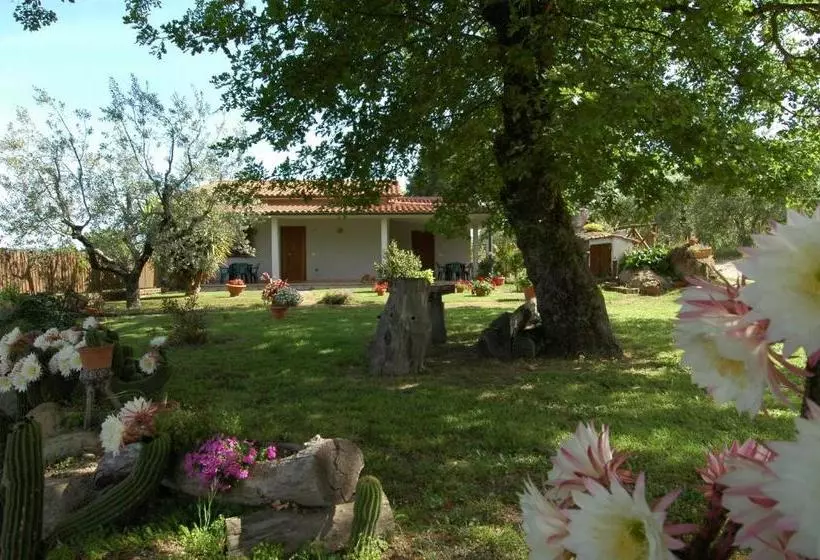 ホテル Agriturismo San Vincenzo