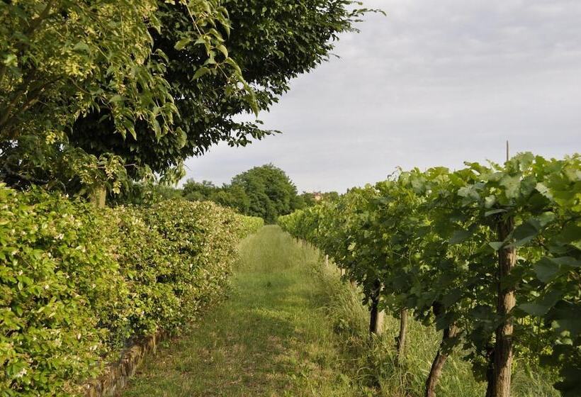 בית מלון כפרי La Casa Griunit