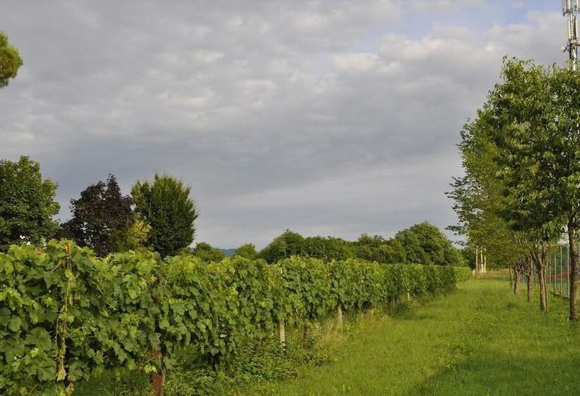 בית מלון כפרי La Casa Griunit