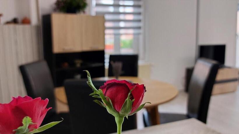 پانسیون Casa Merisor