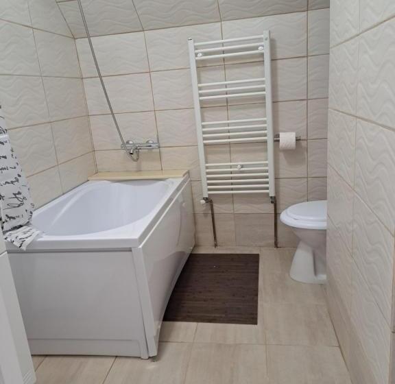 پانسیون Casa Merisor