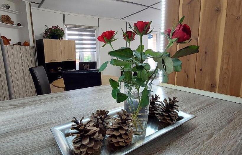 پانسیون Casa Merisor