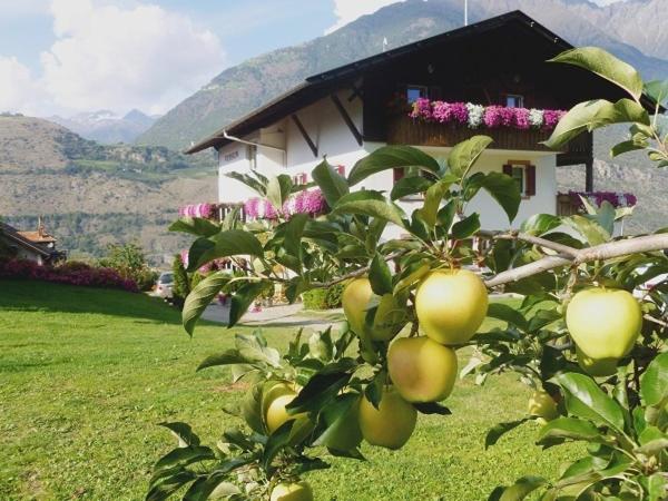 膳宿费 Gletscherblick