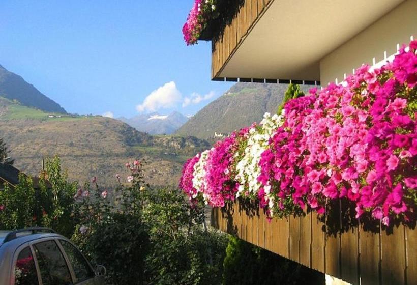 膳宿费 Gletscherblick