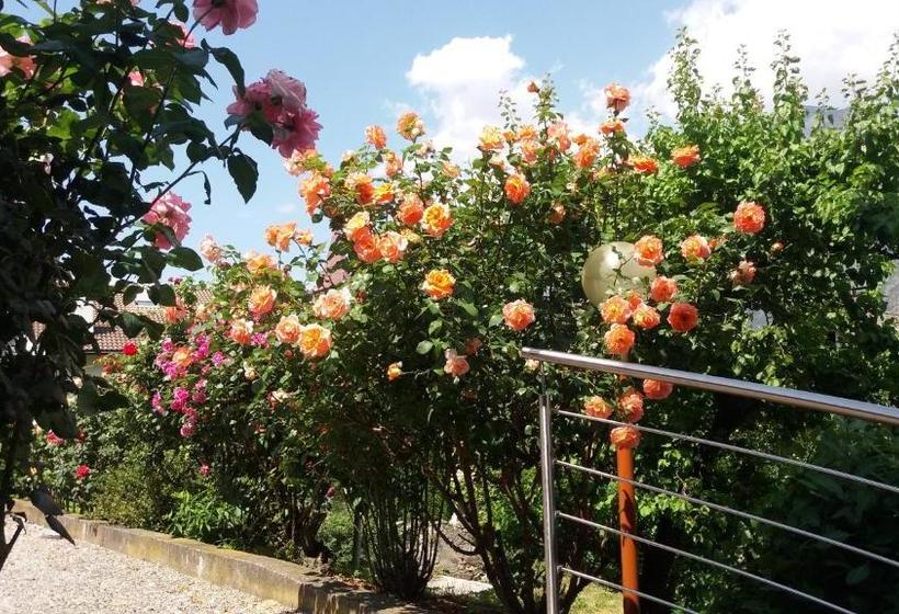 膳宿费 Gletscherblick