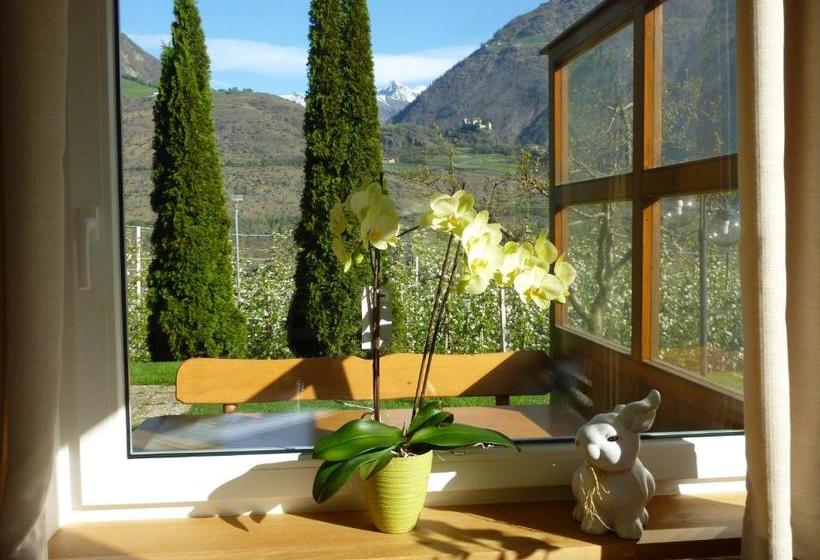 膳宿费 Gletscherblick