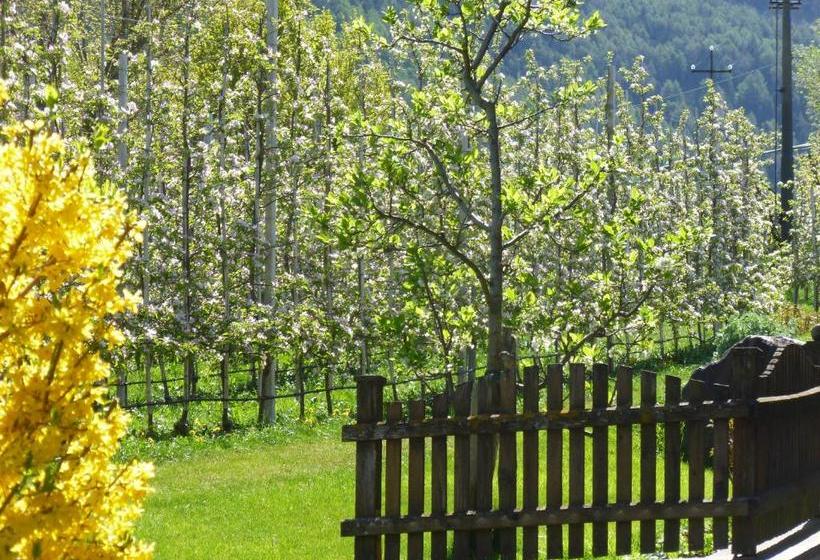 膳宿费 Gletscherblick