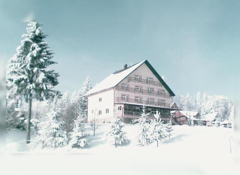 پانسیون Poiana Bucovat