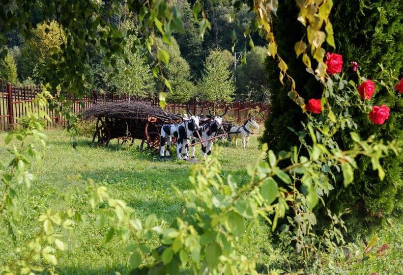 پانسیون Poiana Bucovat