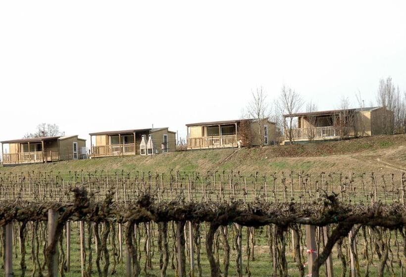 酒店 Seiterre Agriturismo Tenuta San Leone