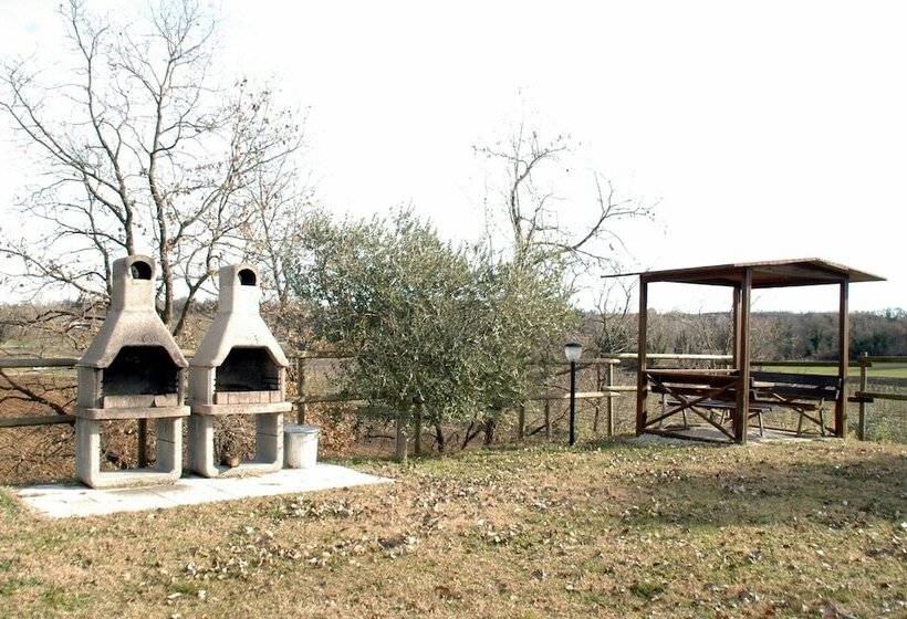 酒店 Seiterre Agriturismo Tenuta San Leone