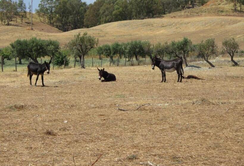 ホテル Donnastella