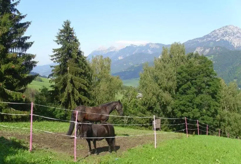 ホテル Panoramahof Gupf