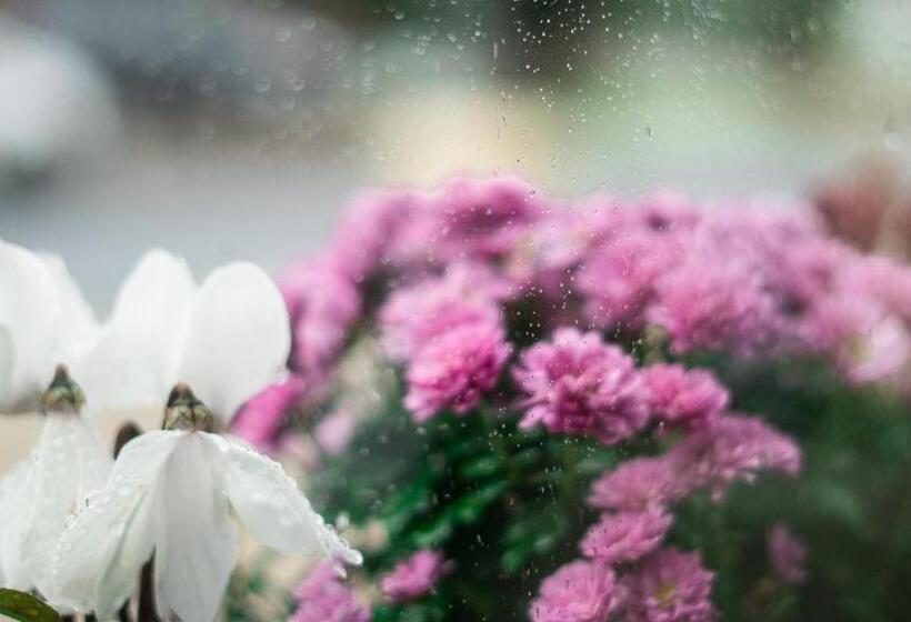 ペンション Trefoil Guest House