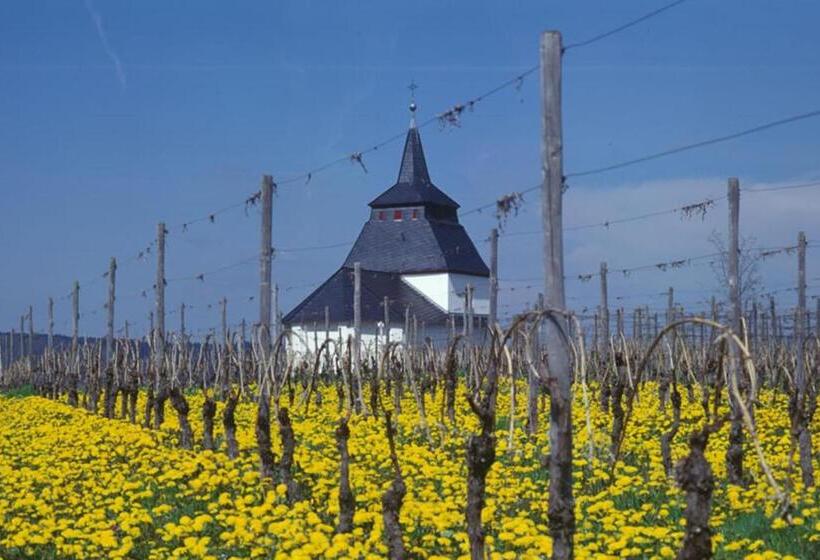 بنسيون Weingut & Gästehaus Christoph Clüsserath