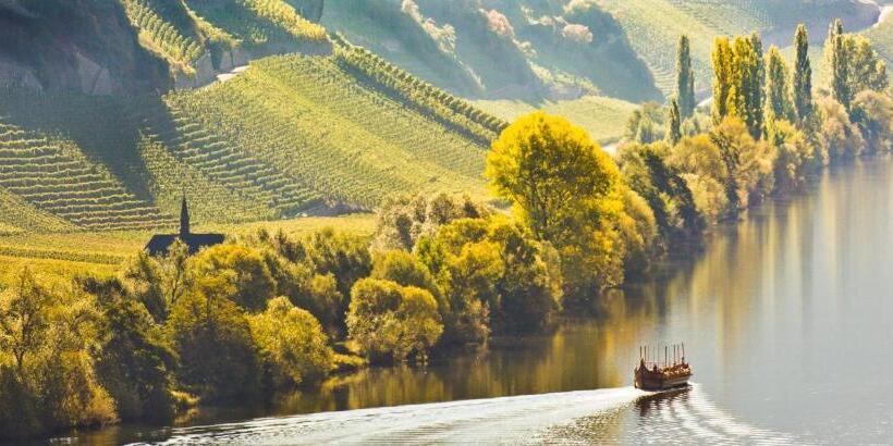 بنسيون Weingut & Gästehaus Christoph Clüsserath