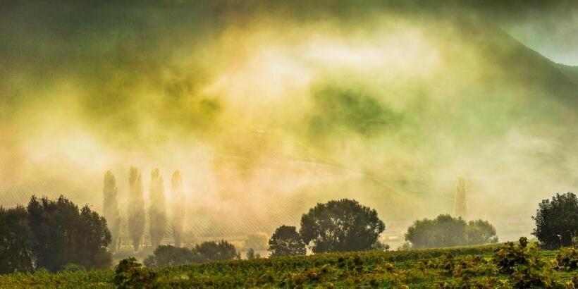 بنسيون Weingut & Gästehaus Christoph Clüsserath