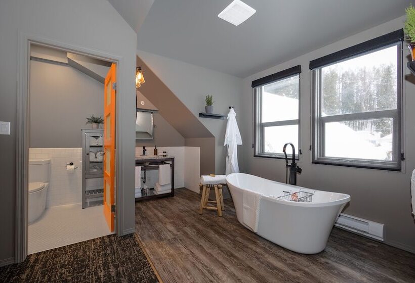 הוסטל The Larix