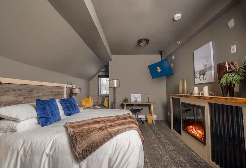 הוסטל The Larix