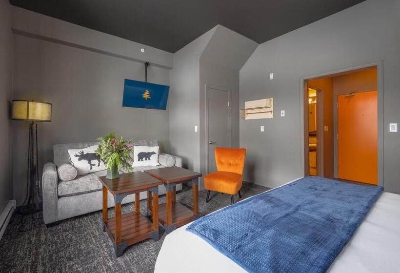 הוסטל The Larix