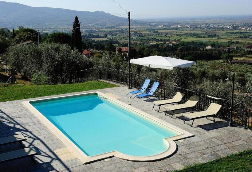 호텔 Agriturismo Il Torrino