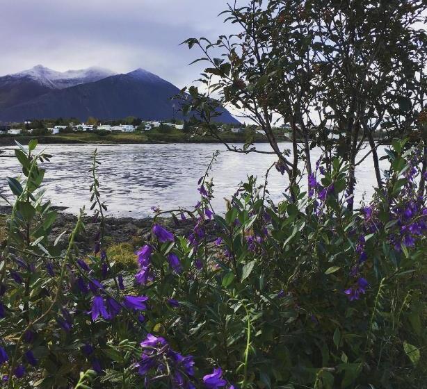 پانسیون Kría Guesthouse