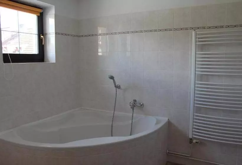 Majatalo Penzion U Růže