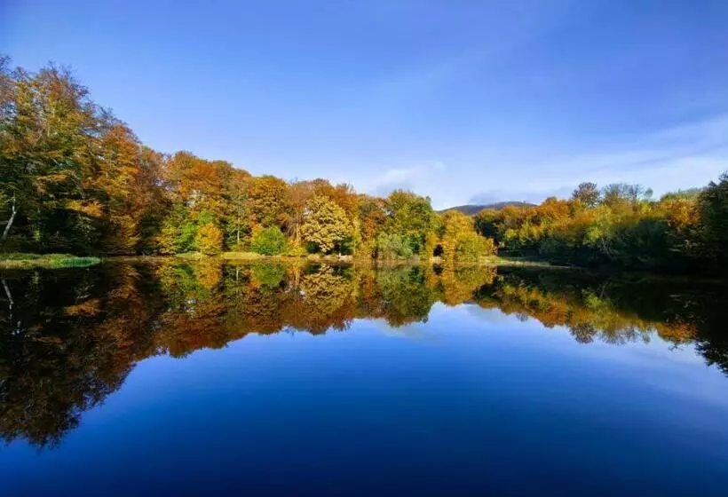 Majatalo Pintea Chalet