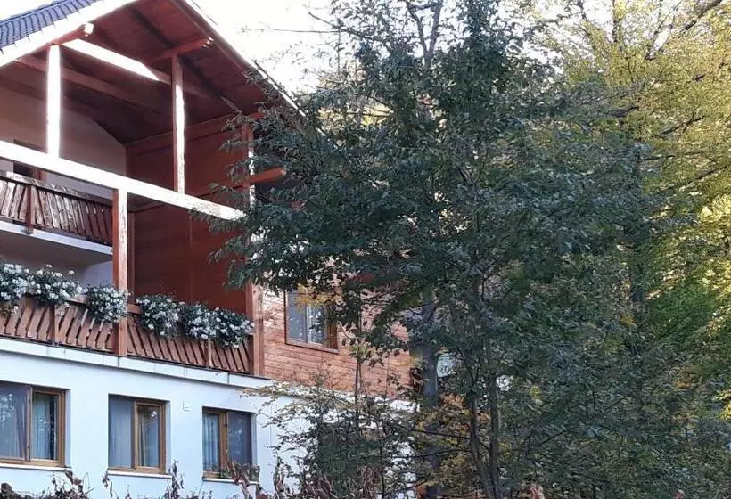 Majatalo Pintea Chalet