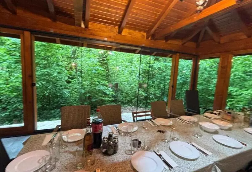 Majatalo Pintea Chalet