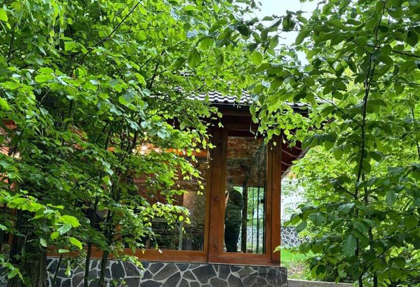 膳宿费 Pintea Chalet