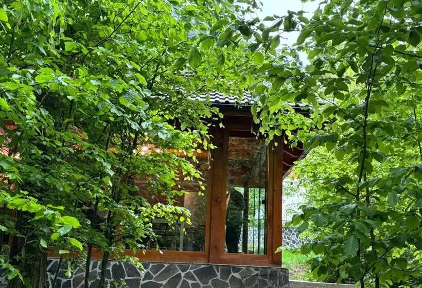 Majatalo Pintea Chalet