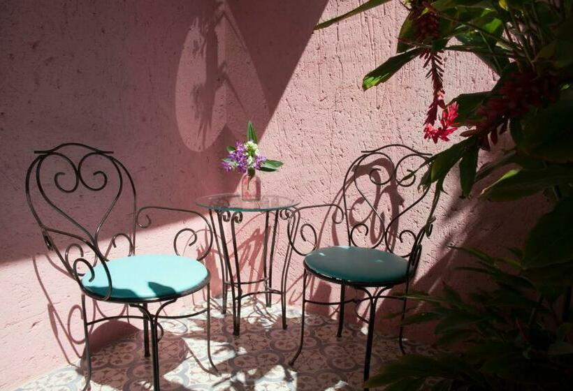 ペンション Pousada Vila Rosada