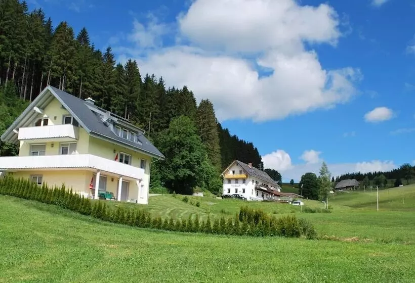 Gasthaus Pension Donishäusle