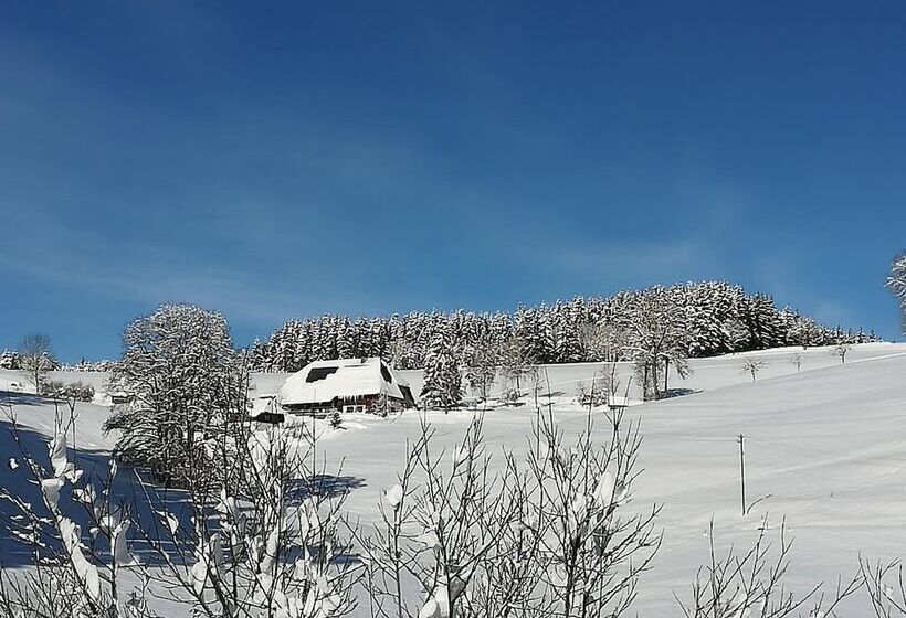 Gasthaus Pension Donishäusle