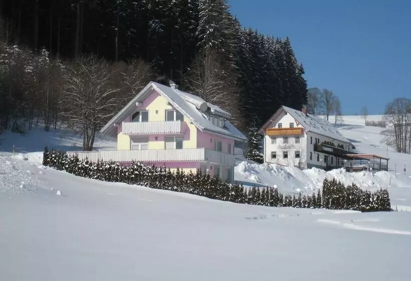 Gasthaus Pension Donishäusle