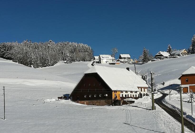Gasthaus Pension Donishäusle