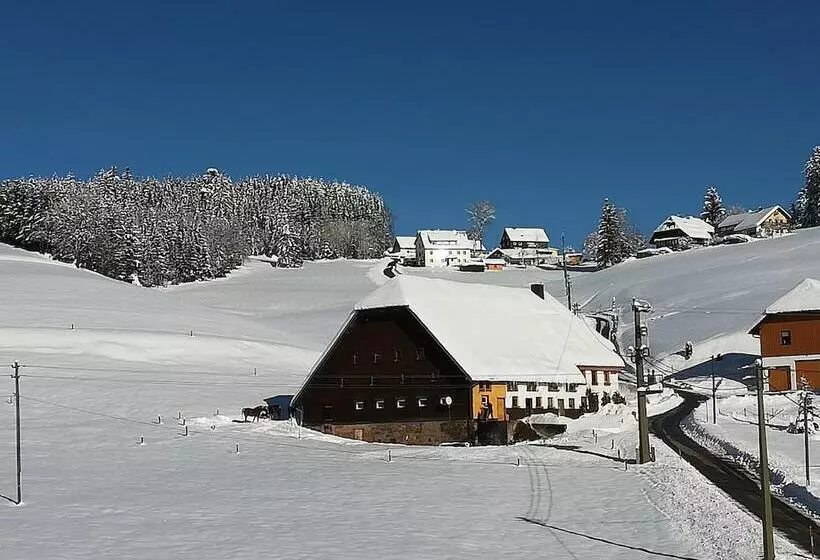 Gasthaus Pension Donishäusle
