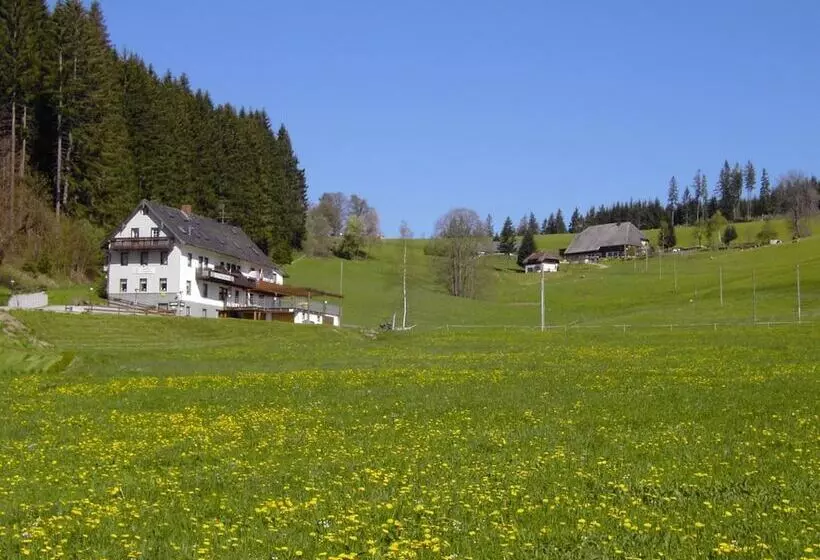 Gasthaus Pension Donishäusle