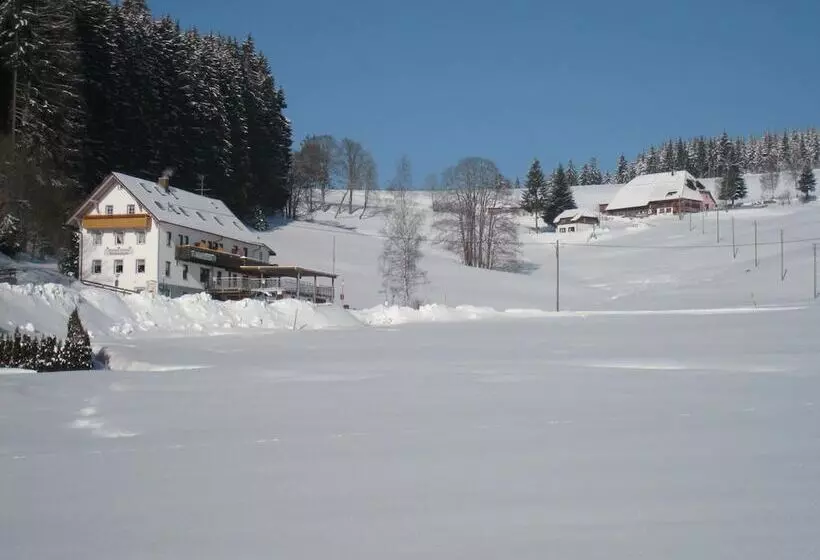 Gasthaus Pension Donishäusle