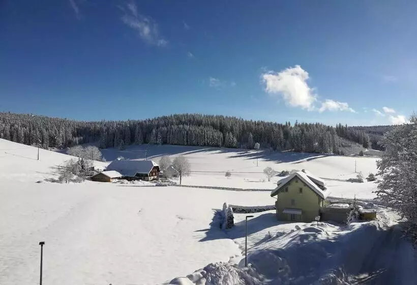 Gasthaus Pension Donishäusle