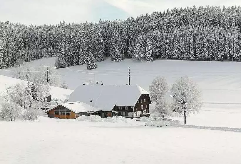 Gasthaus Pension Donishäusle